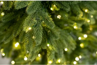 Evergreen Kunstkerstboom PGTG50P2459L02
