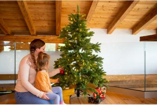 Evergreen Kunstkerstboom PGTG50P2459L02