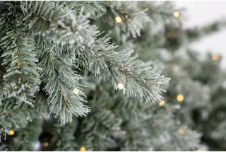 Evergreen Kunstkerstboom PGTG60M3AXJL01