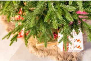 Evergreen Kunstkerstboom PGTG60P3B20X04