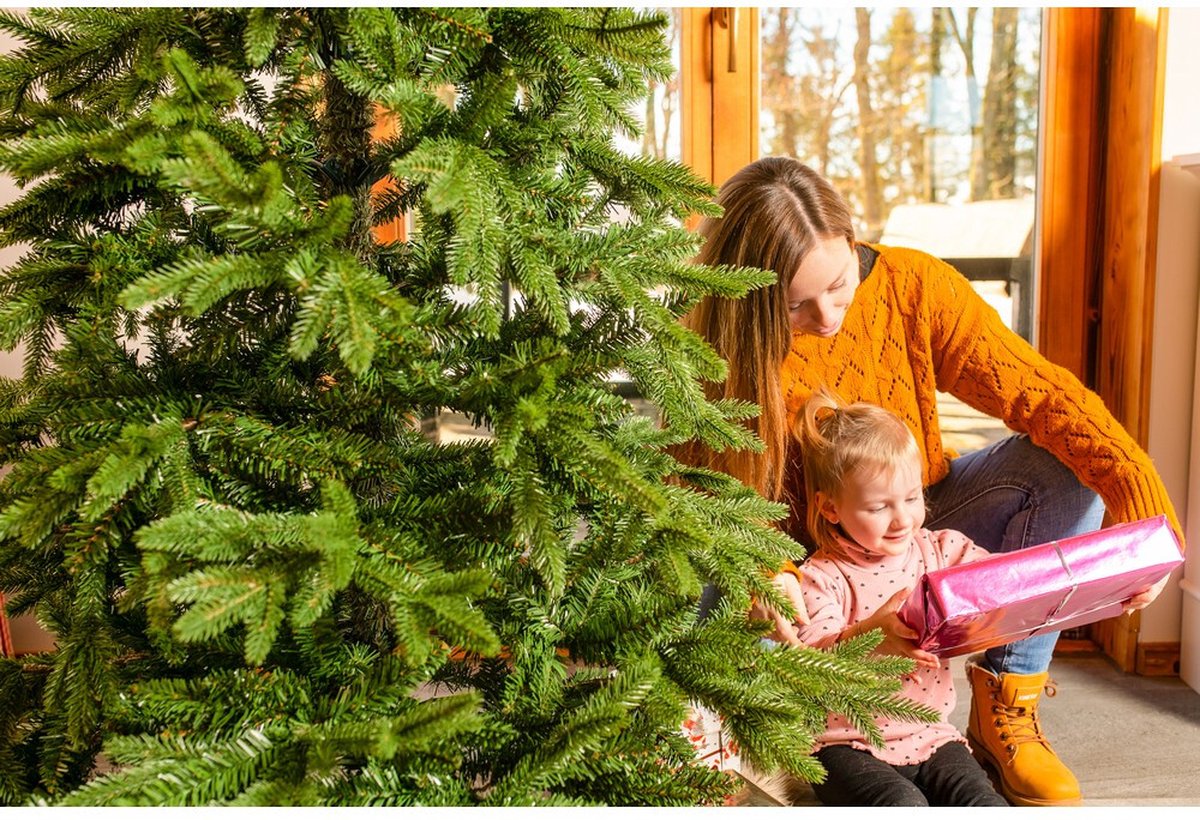 Evergreen Kunstkerstboom PGTG60P3B20X04