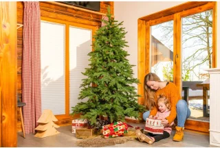 Evergreen Kunstkerstboom PGTG60P3B20X04