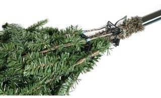Evergreen Kunstkerstboom Sherwood Spar PGTG50P3B20Y01