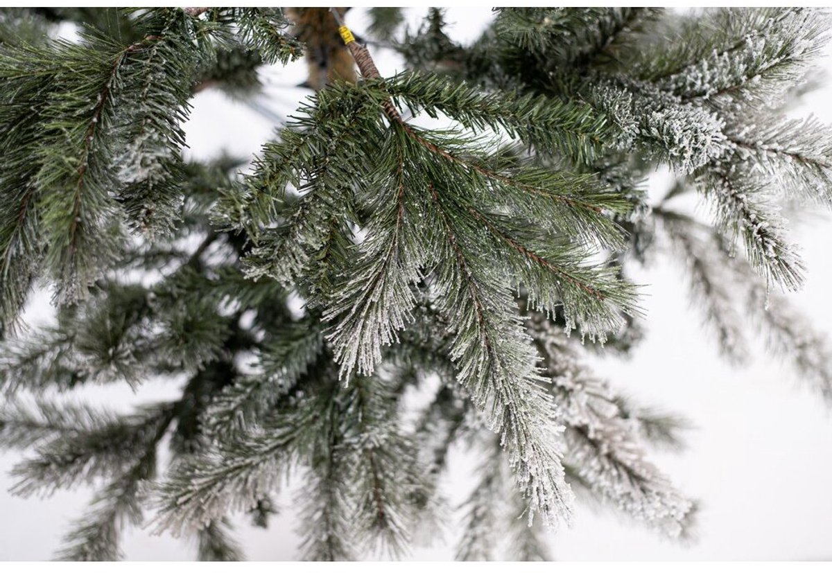 Evergreen PGT02600007 Kunstkerstboom Ceder Frost Pine