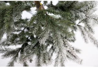 Evergreen PGT02600007 Kunstkerstboom Ceder Frost Pine