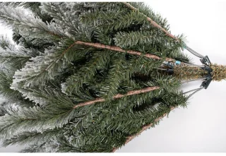 Evergreen PGT02600007 Kunstkerstboom Ceder Frost Pine