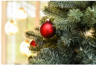 Evergreen Vermont Kunstkerstboom PGTG70P3D95X03