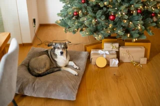 Evergreen Vermont spar kunstkerstboom
