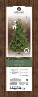 Everlands Alba Fir kunstkerstboom 240 cm