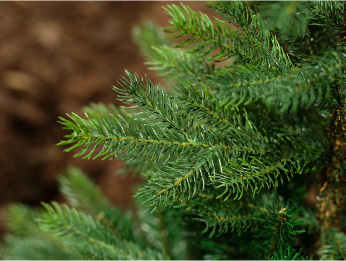 Everlands Grandis Fir kerstboom groen H180 cm