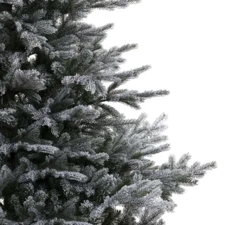 Everlands Grandis Fir Kerstboom