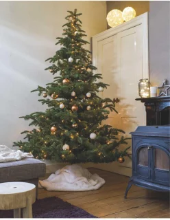 Everlands Grandis Fir LED 240 cm