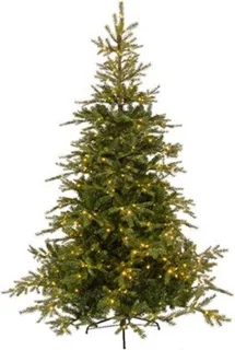 Everlands Grandis Fir LED 240 cm