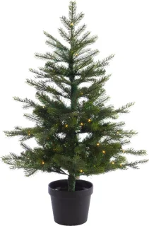 Everlands Grandis Fir tafelboom 1,2 m