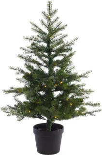 Everlands Grandis Fir tafelboom 1,2 m