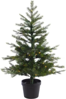 Everlands Grandis Fir tafelboom 90x63 cm groen
