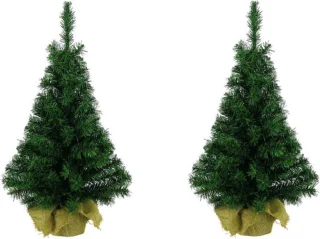 Everlands Imperial Pine mini kunstkerstboom set van 2