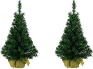 Everlands Imperial Pine mini kunstkerstboom set van 2