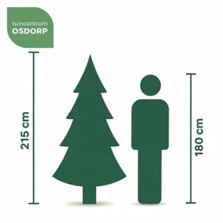 Everlands Kiens Fir kunstkerstboom 210 cm