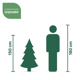 Everlands Kiens kunstkerstboom groen 150 cm