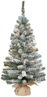 Kleine boom, grote sfeer: Everlands Imperial 90 cm