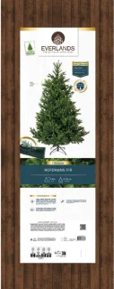 Everlands Nordmann Fir Kunstkerstboom 180 cm