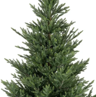Everlands Norway Spruce kunstkerstboom 210 cm