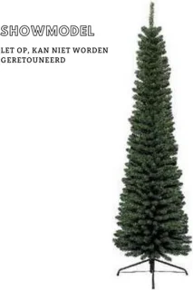 Everlands Pencil Pine 120 cm