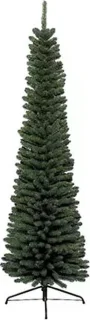Everlands Pencil Pine 120 cm