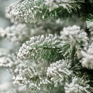 Everlands Pencil Pine Snowy kunstkerstboom 180 cm wit
