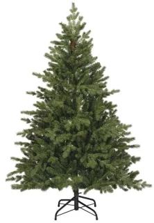 Everlands Rumford fir - 150 cm