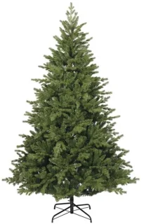 Everlands Rumford fir - 180 cm