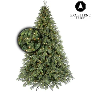 Excellent Trees Kalmar LED Kerstboom 240 cm
