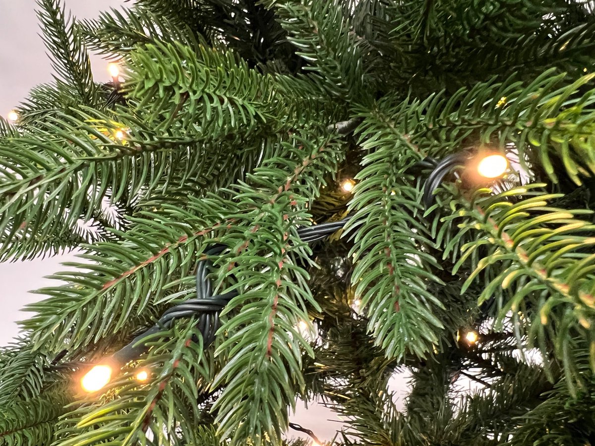 Excellent Trees LED Falun 180 cm Kerstboom