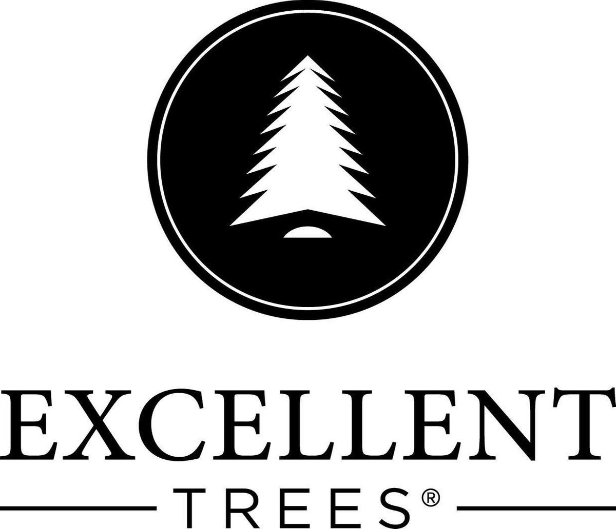 Excellent Trees® Led Kalmar Kerstboom 150 cm