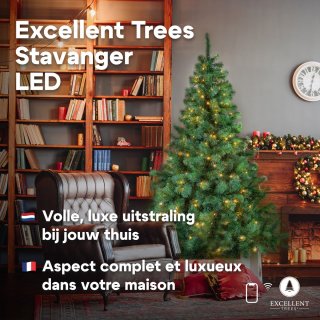 Excellent Trees® LED Stavanger Green Kunst-Kerstboom 120 cm