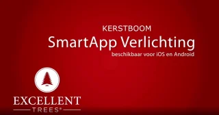 Excellent Trees Stavanger Black 180 cm Zwarte Kerstboom