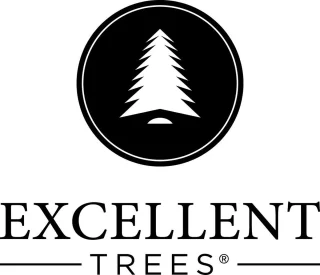 Excellent Trees Stavanger Black 180 cm Zwarte Kerstboom met Verlichting