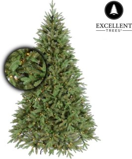 Imposante, natuurgetrouwe Ulvik kerstboom (365 cm) met 1210 LED-lichtjes
