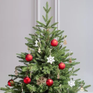 FairyTrees Kunstkerstboom FT06 Nordmann Exclusive 180 cm