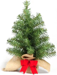 Famiflora Forest Table Tree kerstboom 30 cm groen