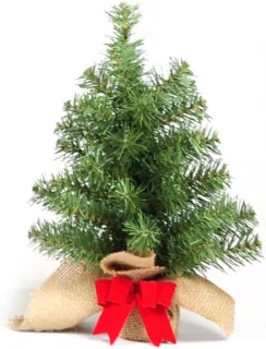 Famiflora Forest Table Tree kerstboom 30 cm groen