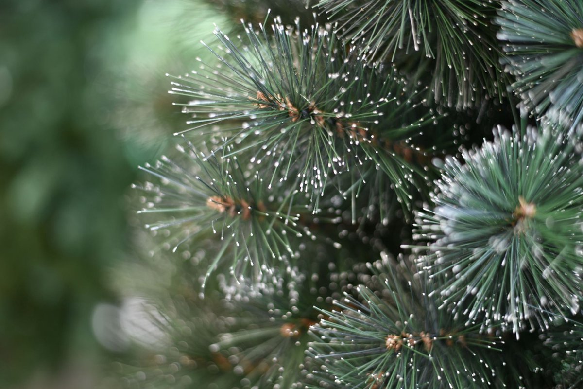 Famiflora Frosted Alpine kunstkerstboom 225 cm groen