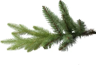 Famiflora Sherwood kunstkerstboom 180 cm groen