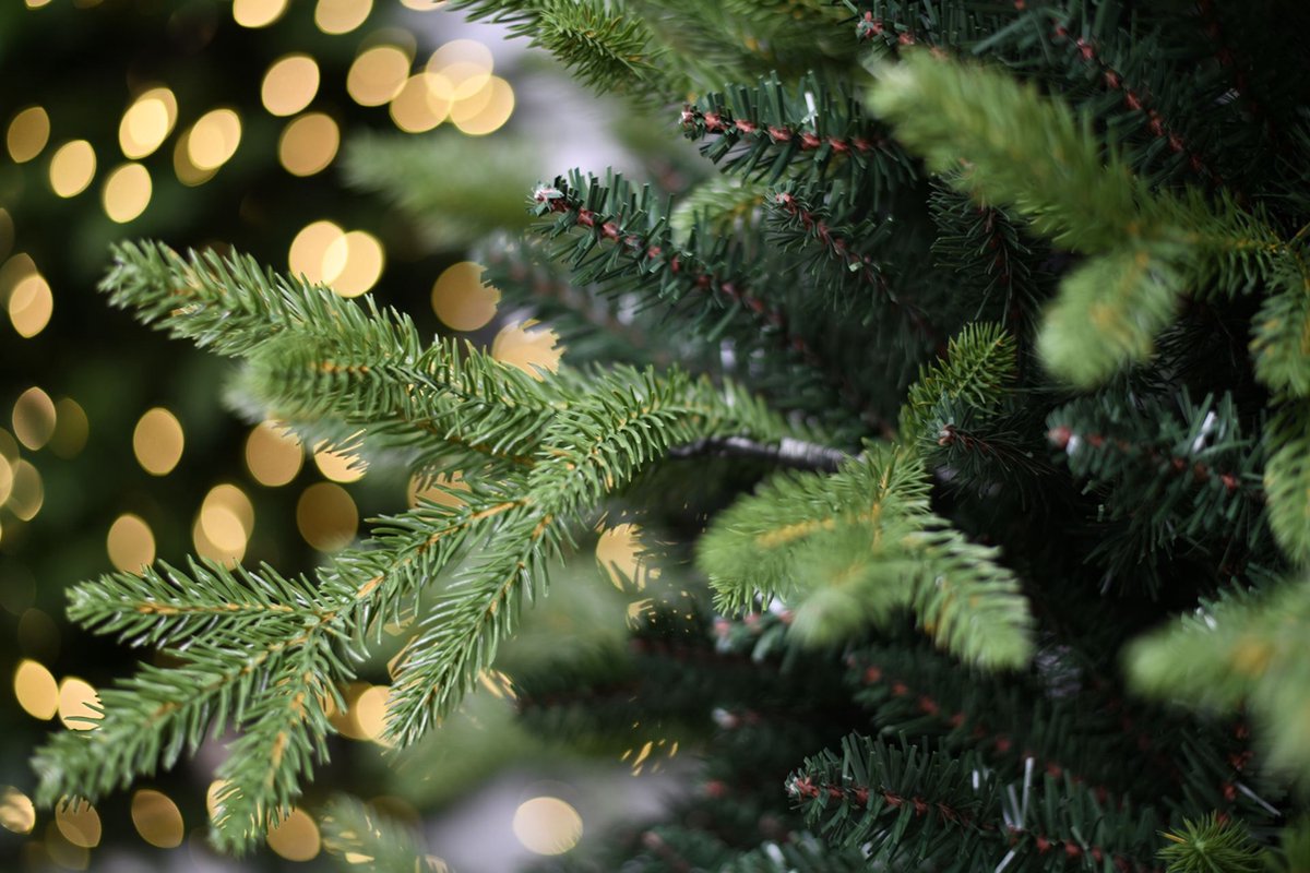 Famiflora Sherwood kunstkerstboom 180 cm groen