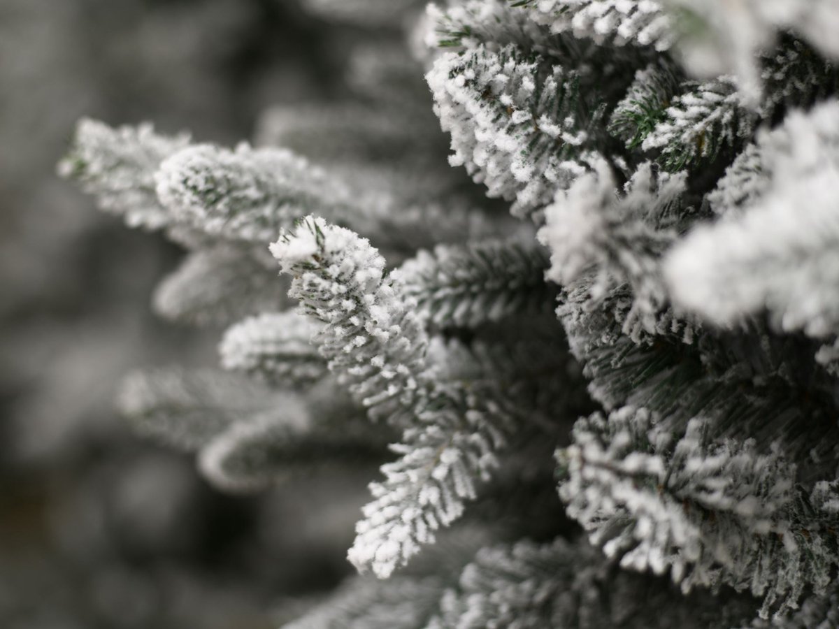 Famiflora Toronto kunstkerstboom 180 cm groen