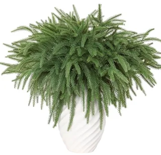 Faux Norfolk dennentakken – 6 stuks, 45 cm