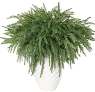 Faux Norfolk dennentakken – 6 stuks, 45 cm