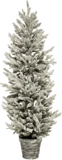 Fééric Lights Christmas Kerstboom Ø55xH150cm Wit