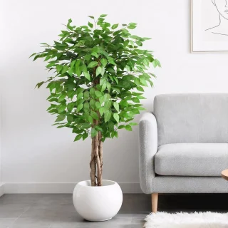 Ficus kunstboom 150 cm